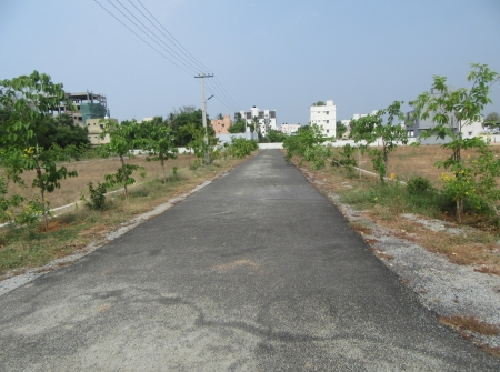 4) Li id 409 - Pic 5.JPG